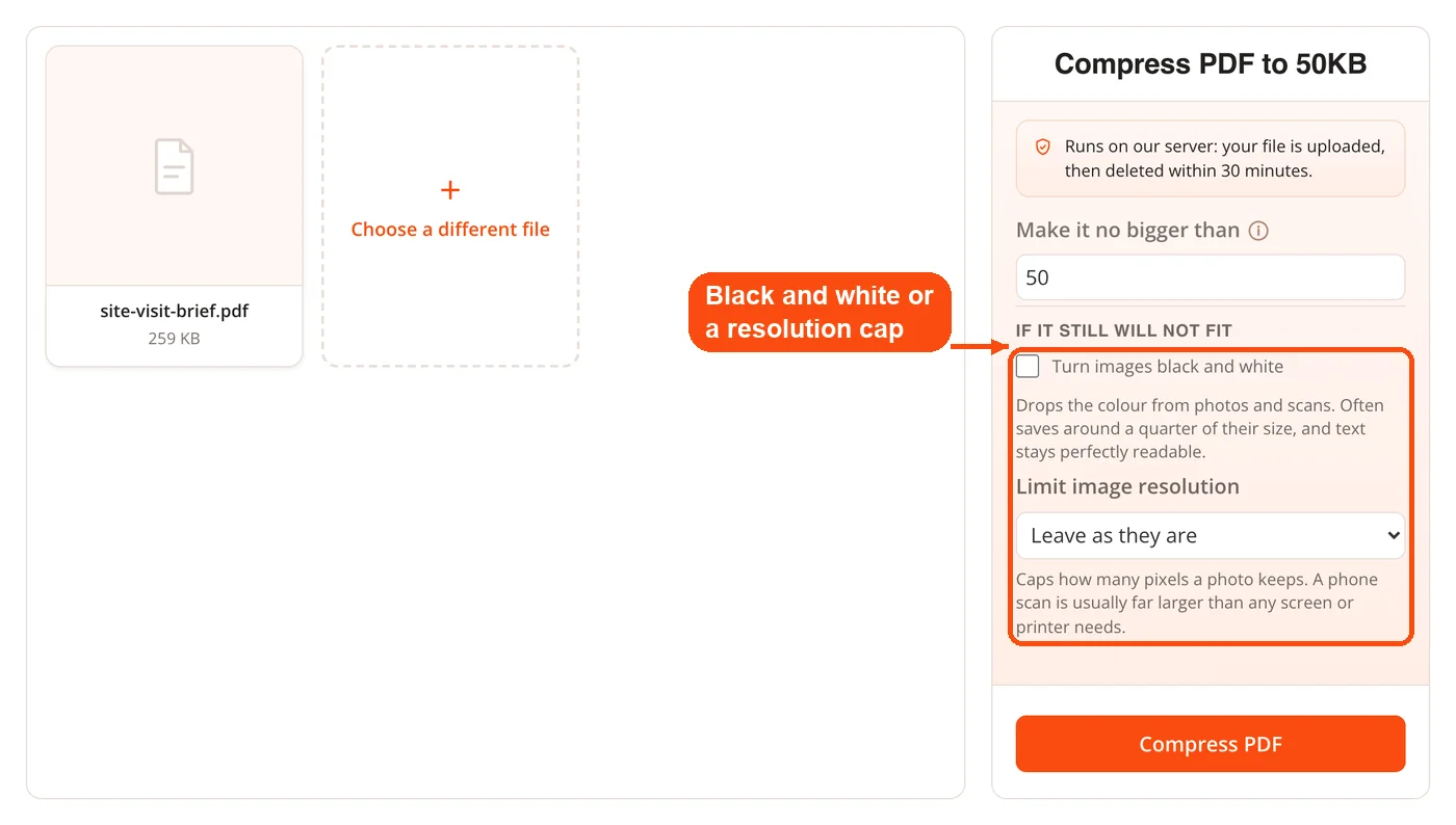 Black and white and resolution options