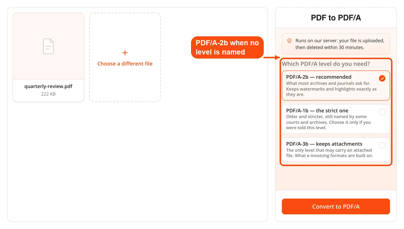PDF/A level options